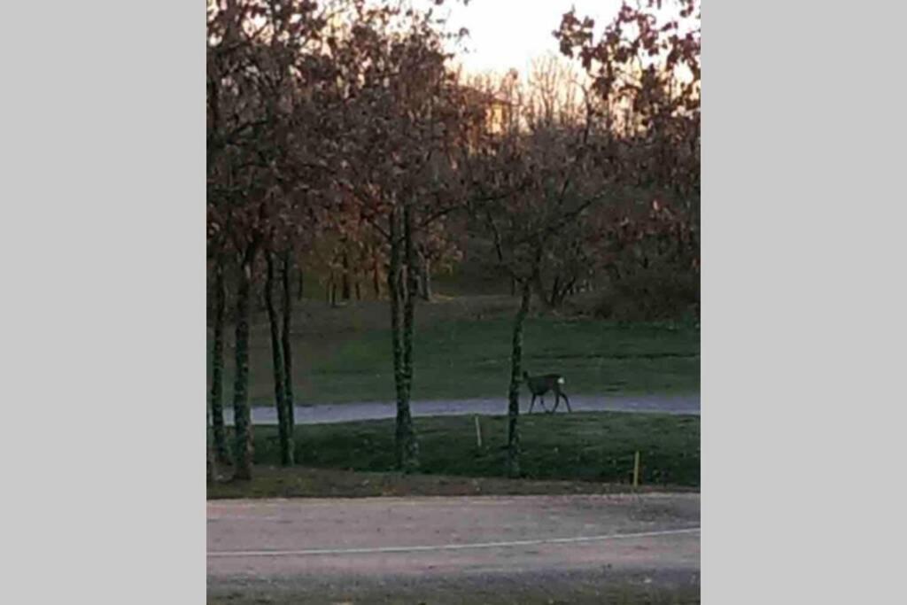 Vila Leon Golf Casakalma Exteriér fotografie